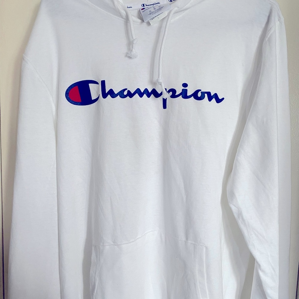 NWT Mens long sleeved hooded shirt